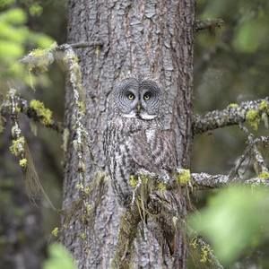 Meet your Posher, Xavier